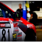 vimeo-turtle-feature